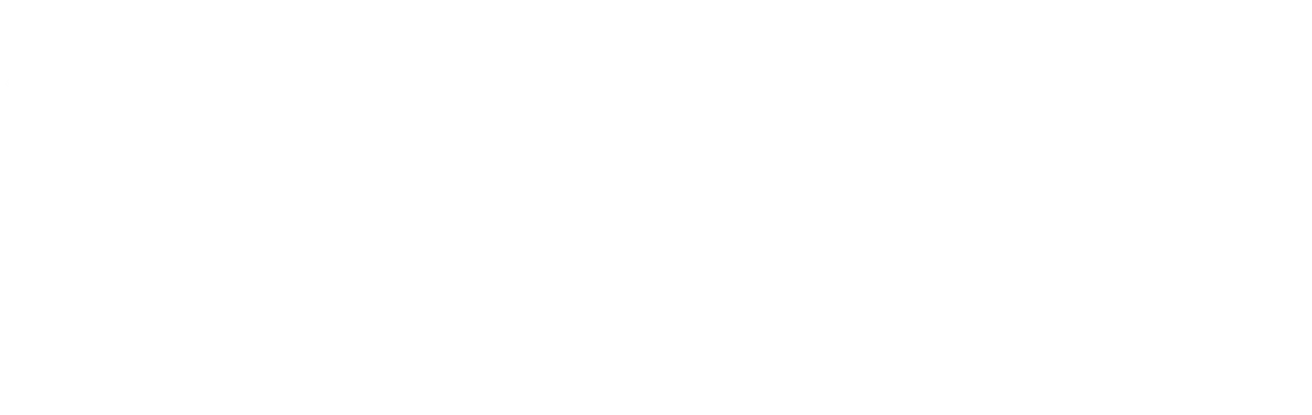 UNADEV, Union nationale des aveugles et déficients visuels